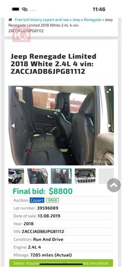 جيب رينيجيد